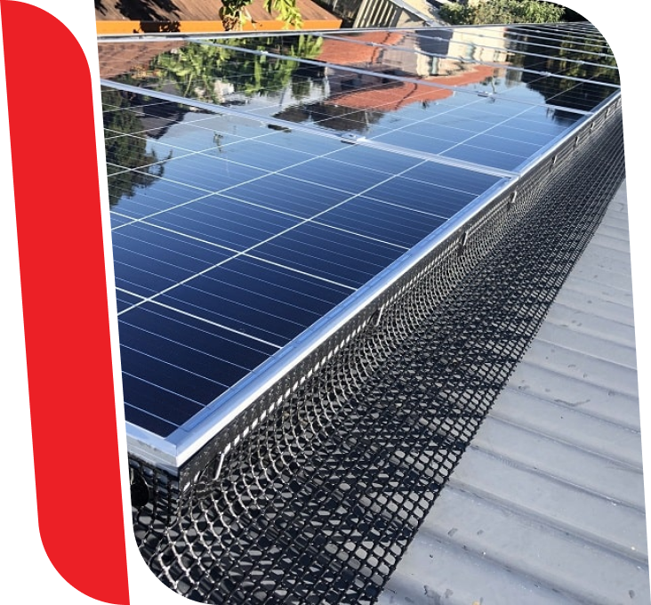 birdproof solar panels