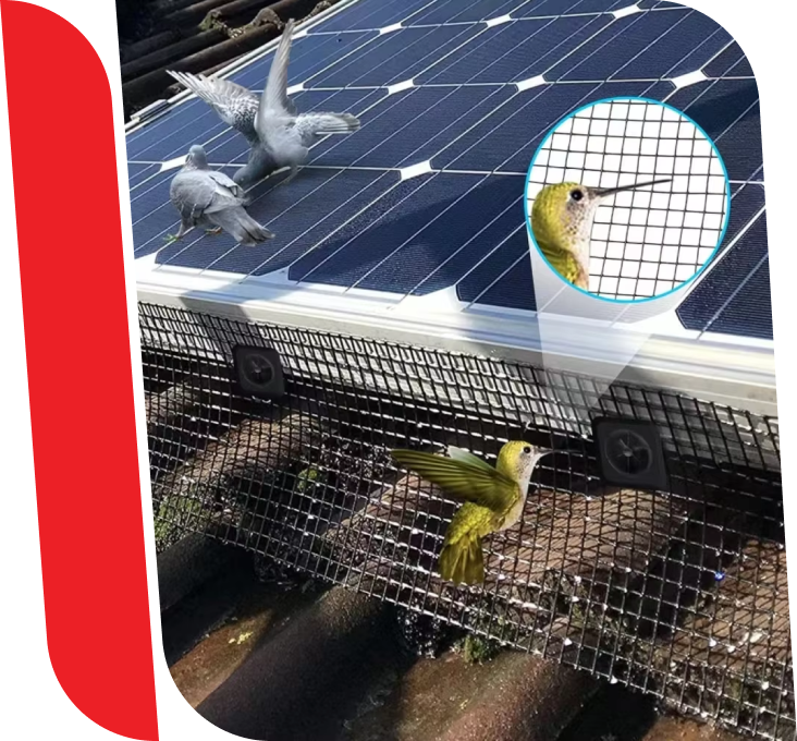 Birdproof Cleaning Services