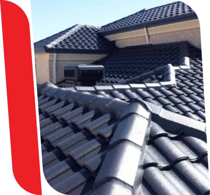 Img Roofpressurecleaning 6