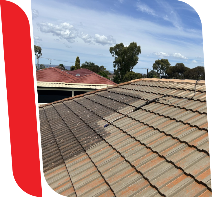 Roof Cleaning Adelaide