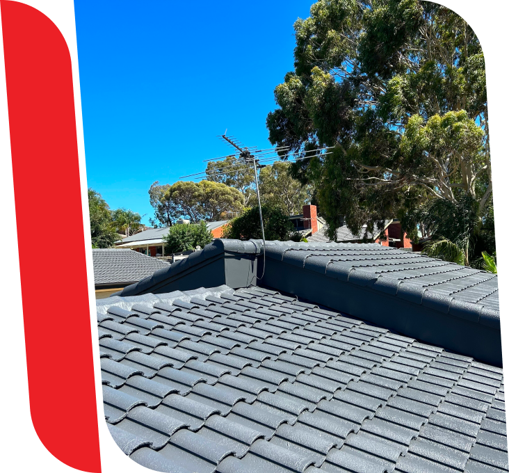 Roof painting Broadview