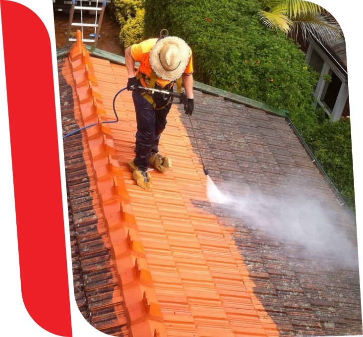 Mould & Lichen Removal